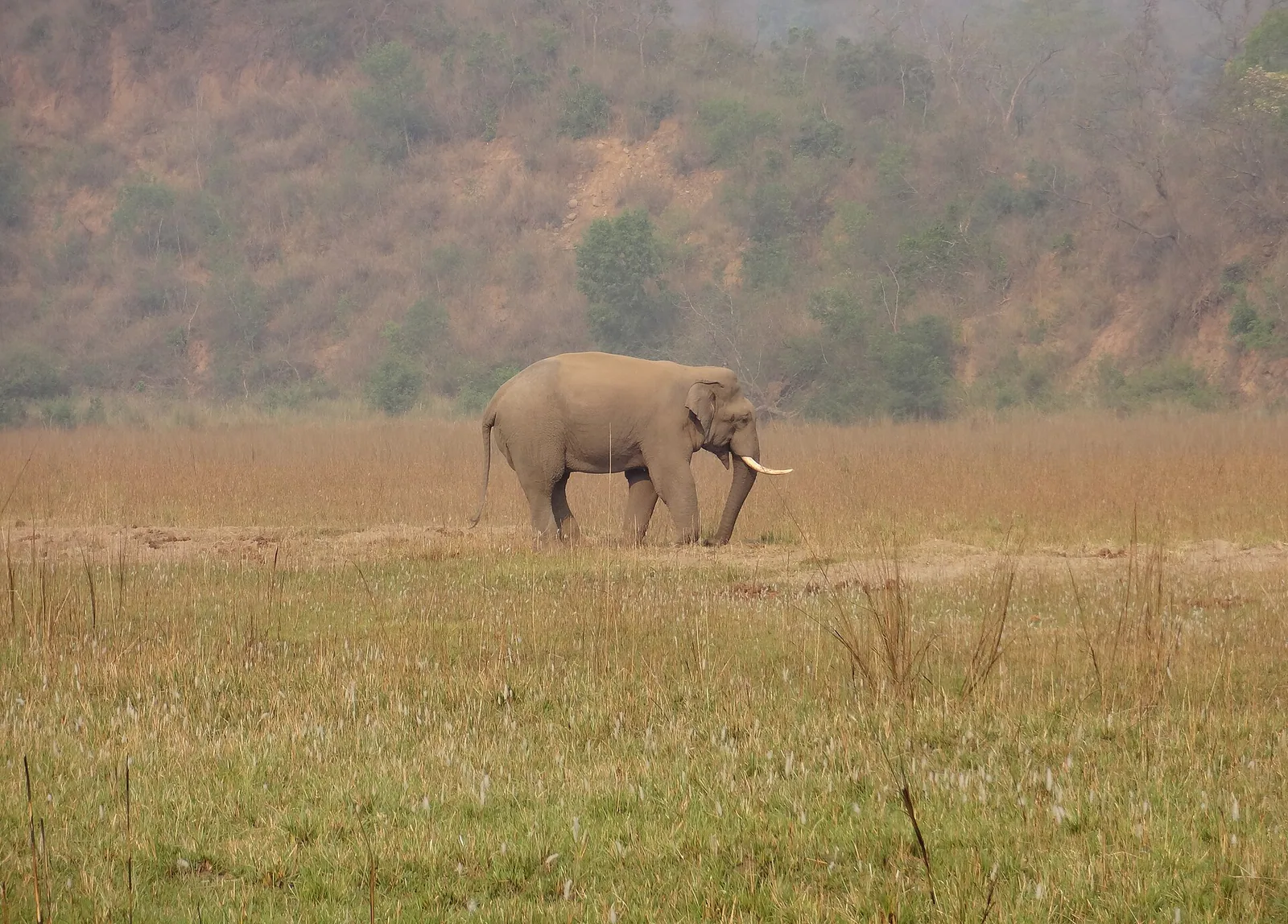Best Places to Visit in Dehradun: Waterfalls, Caves & Mussoorie