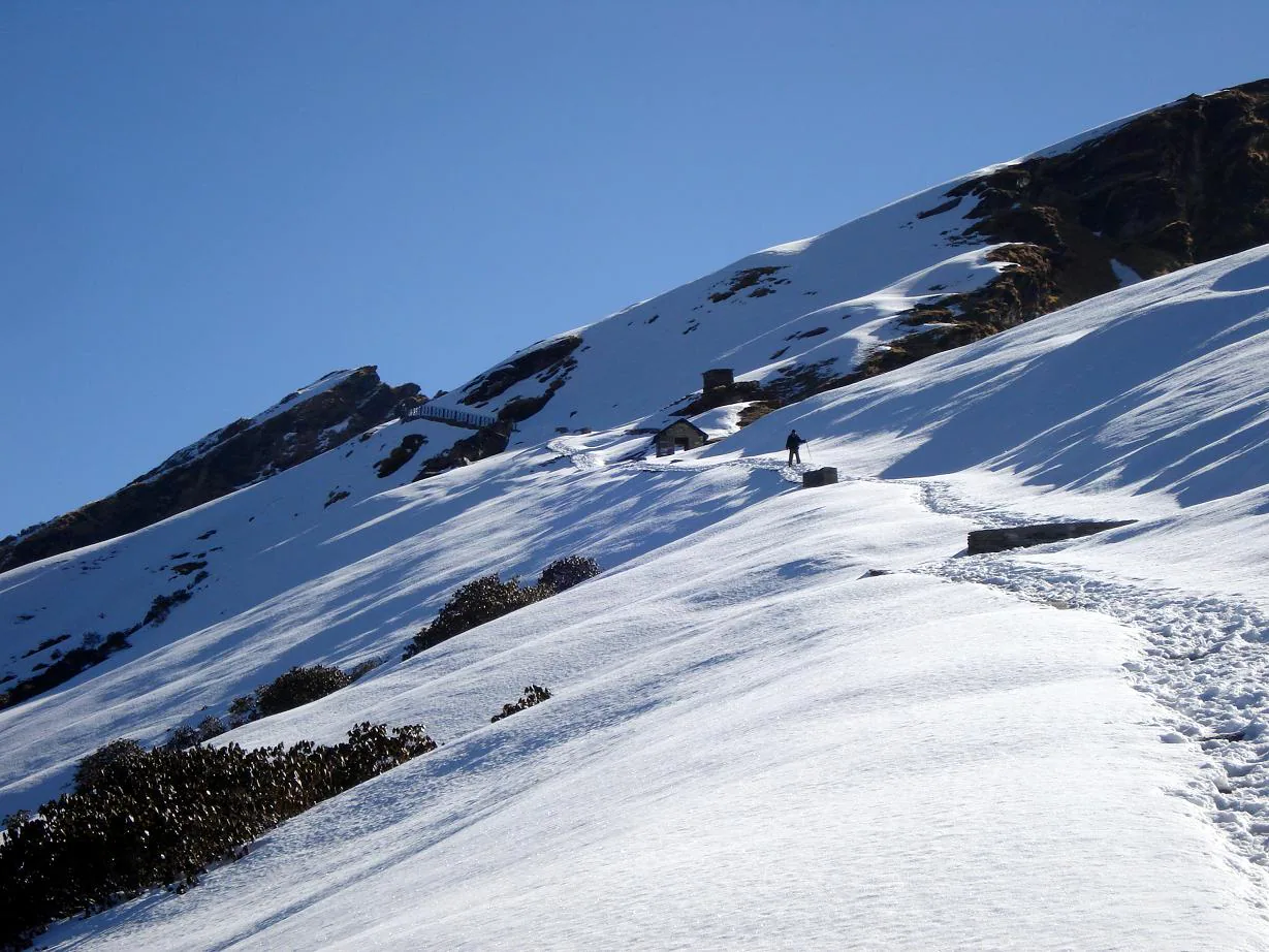 Chopta, Tungnath & Chandrashila Trek in 3 Days — Sunrise Over the Chaukhamba photo 3