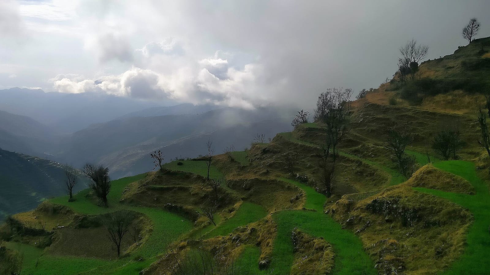 Nag Tibba Trek in 2 Days — The Weekend Summit Above Mussoorie photo 2