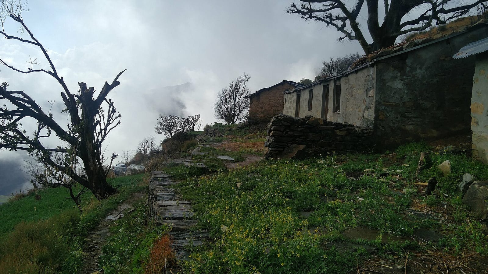 Nag Tibba Trek in 2 Days — The Weekend Summit Above Mussoorie photo 3