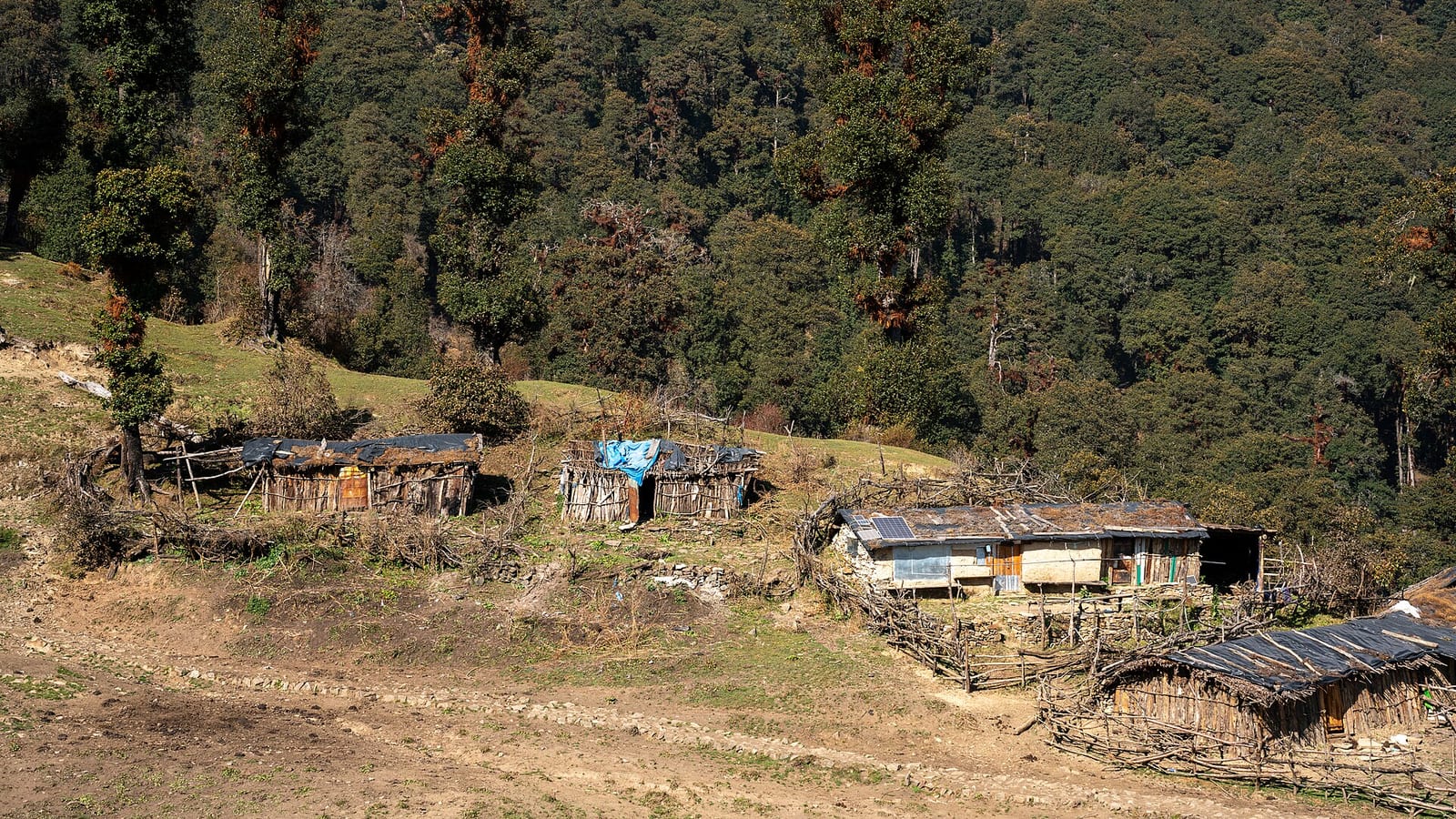 Dayara Bugyal Trek in 5 Days — The Great Alpine Meadow photo 2