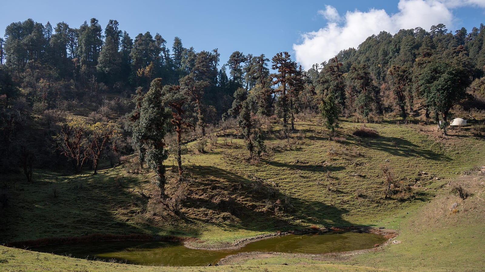 Dayara Bugyal Trek in 5 Days — The Great Alpine Meadow photo 3