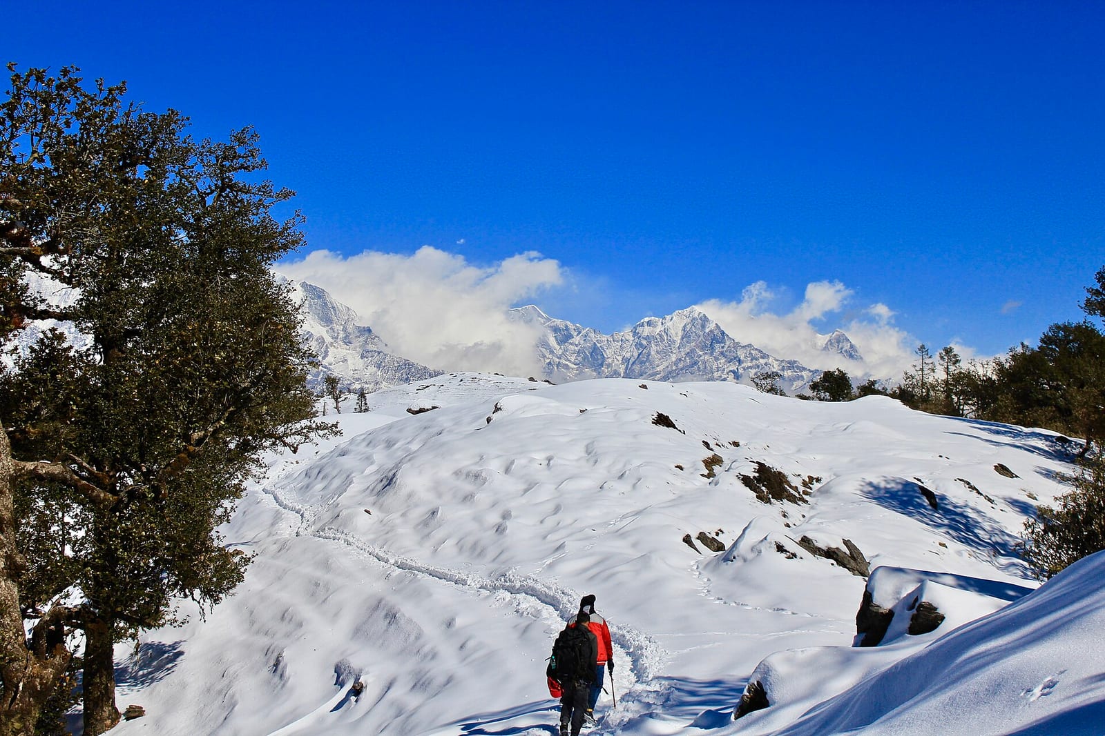 Brahmatal Trek in 6 Days — Frozen Lakes & Trishul Views photo 2