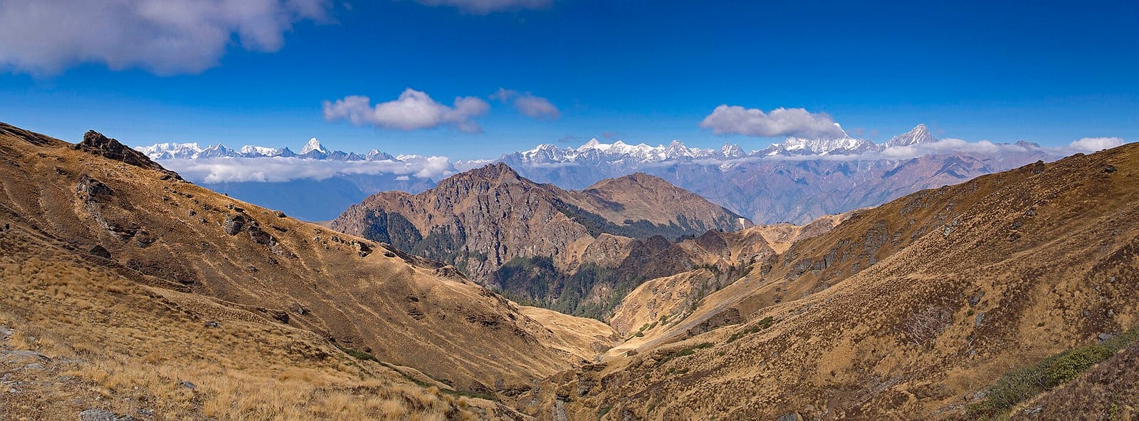 Kuari Pass Trek in 6 Days — The Curzon Trail to Nanda Devi Views photo 2