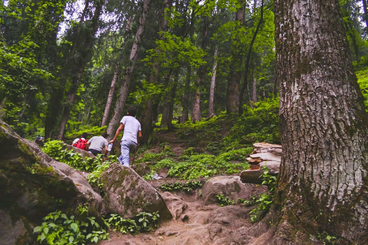Kheerganga Trek & Tosh Valley in 3 Days — Hot Springs, Parvati Valley, Manikaran gurudwara photo 2