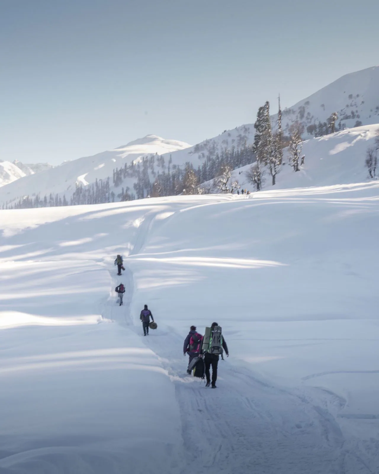 Best Hill Stations in India for Summer: 10 Cool Escapes