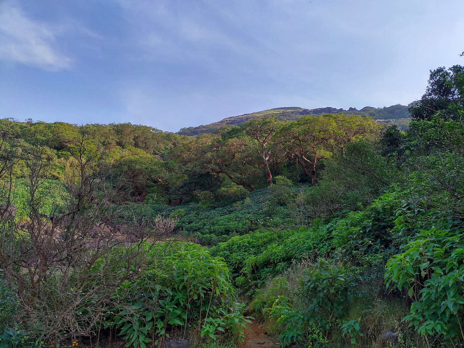 Harishchandragad Trek in 2 Days — Konkan Kada Sunset & a Cave Temple photo 2