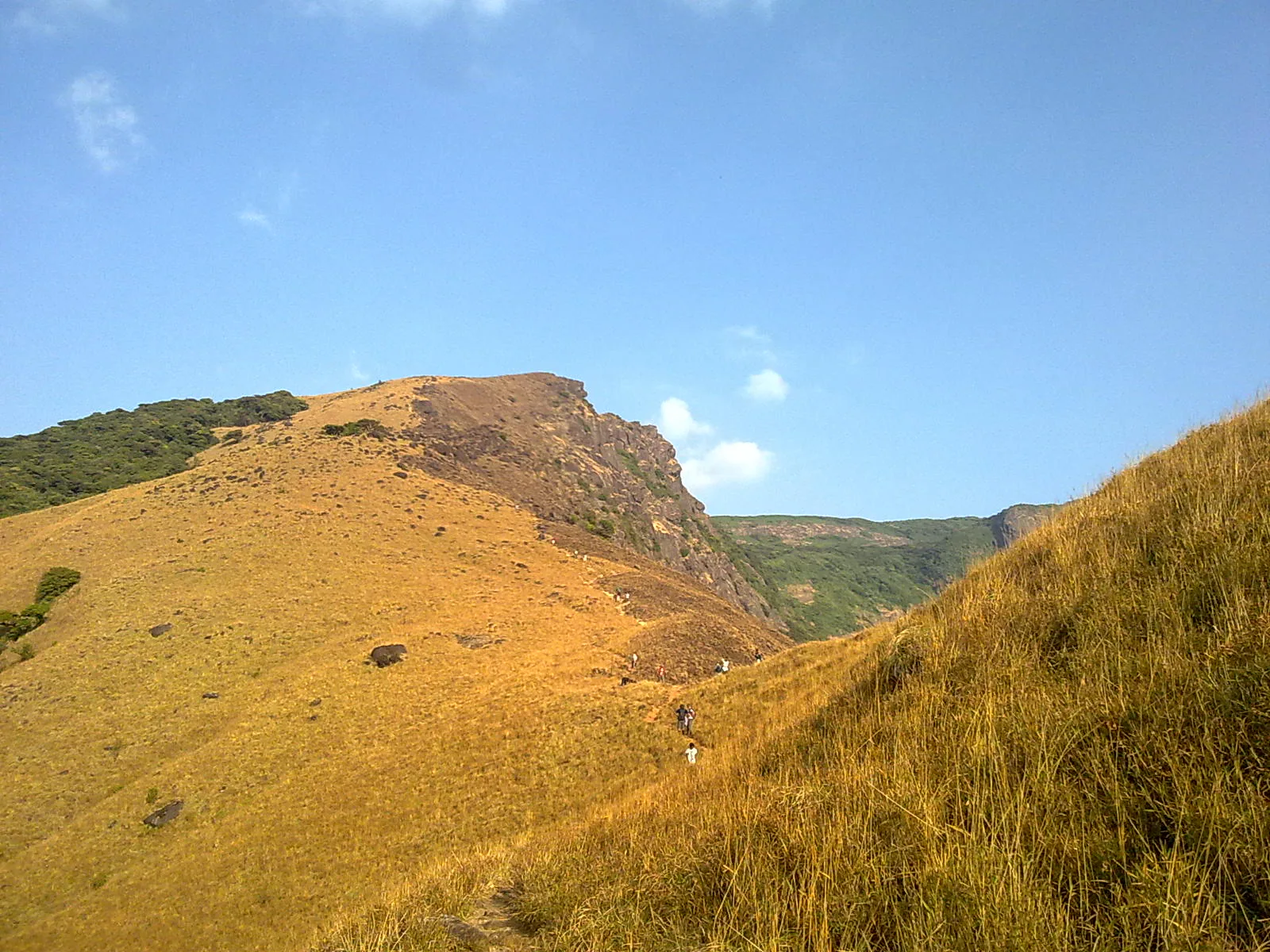 Kumara Parvatha Trek in 2 Days — Karnataka's Toughest Summit Day photo 2