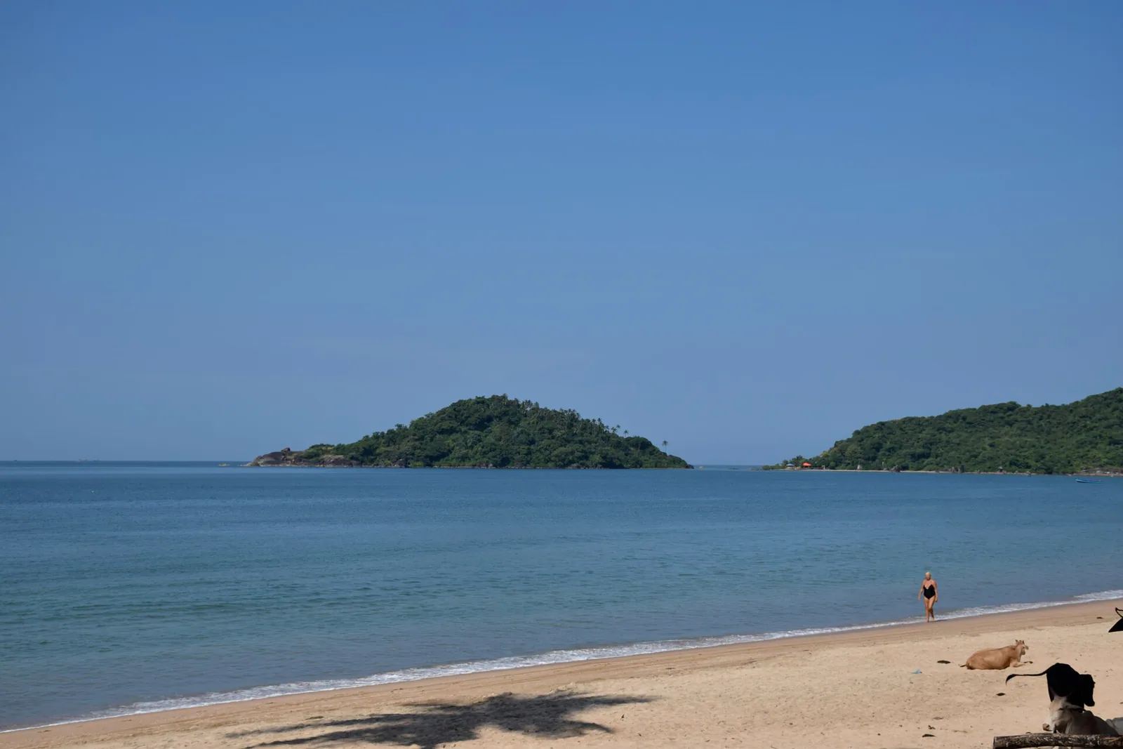 Palolem & South Goa photo 2